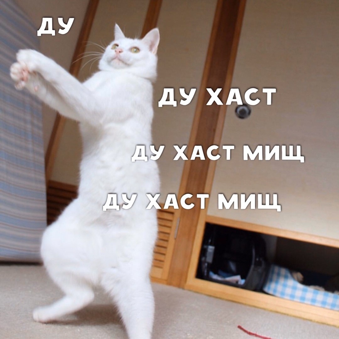 DevilsPharm.in.th - Бодибилдинг форум AnabolicShops