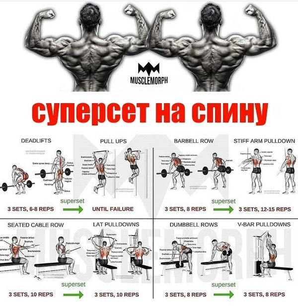 Курилка- разговоры на любые темы - Бодибилдинг форум AnabolicShops