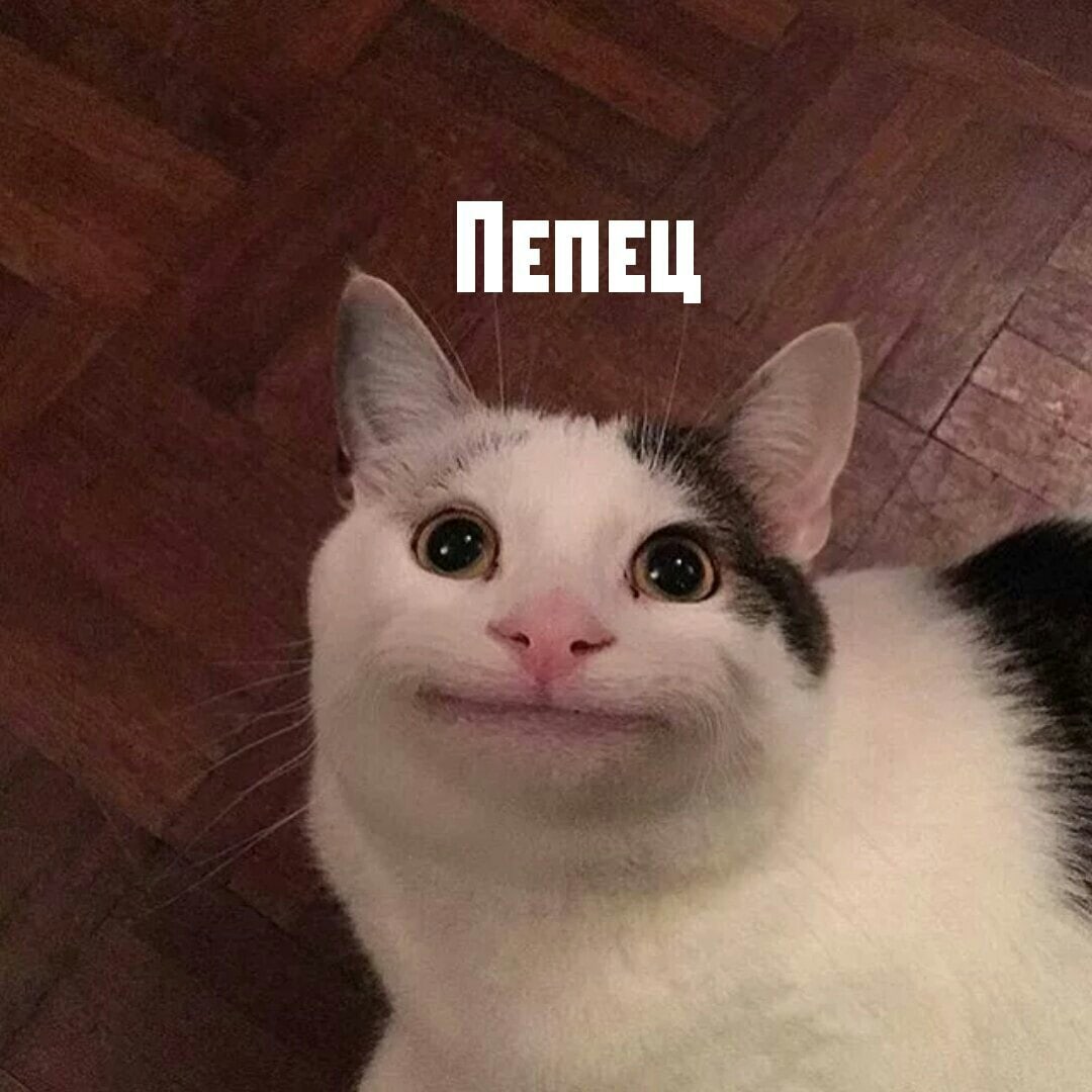 4-ый по счёту 1-ый в 20-ом - Бодибилдинг форум AnabolicShops