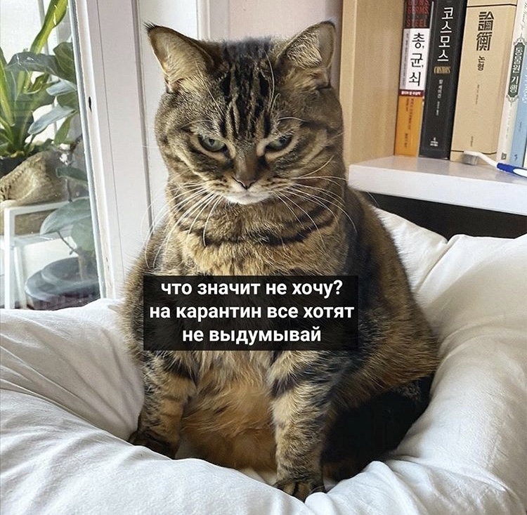 Закрытие  фитнес клубов в Москве - Бодибилдинг форум AnabolicShops