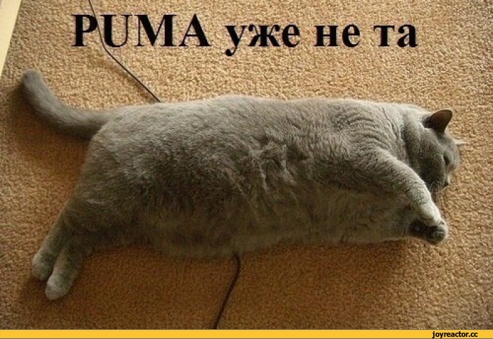Курилка- разговоры на любые темы - Бодибилдинг форум AnabolicShops