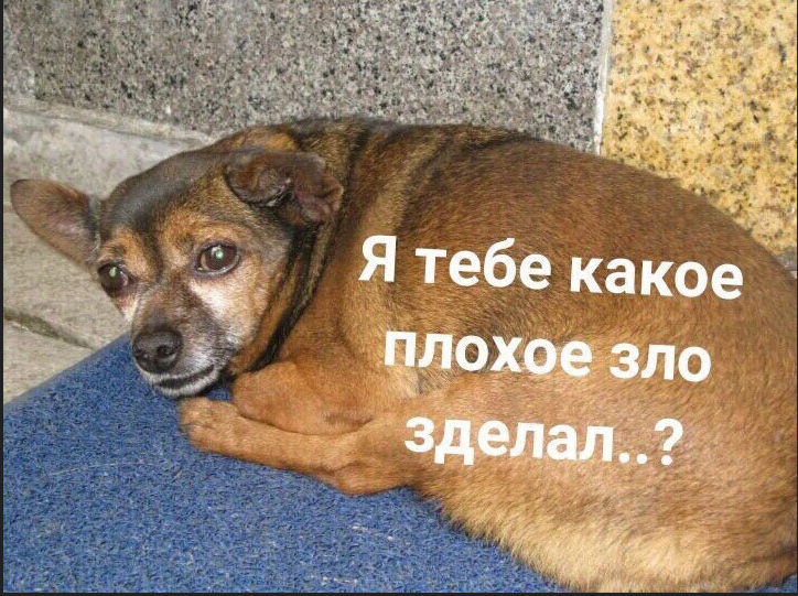 Закрытие  фитнес клубов в Москве - Бодибилдинг форум AnabolicShops