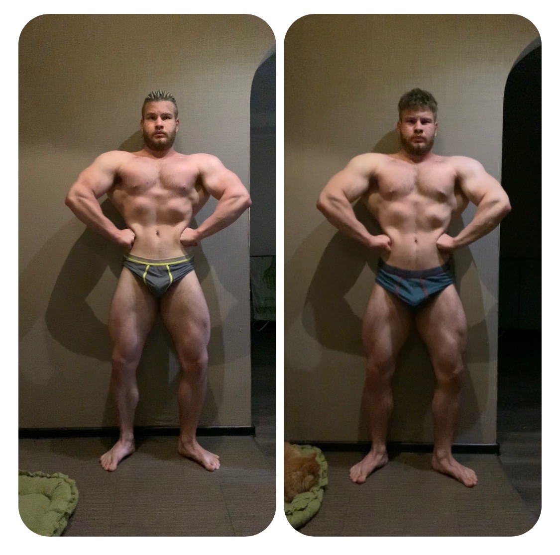Прогресс неизбежен - Бодибилдинг форум AnabolicShops