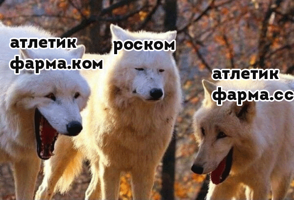 AthleticPharma - 16 лет честной работы! РФ=>РФ - Бодибилдинг форум AnabolicShops