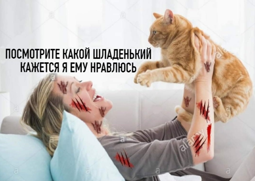 Курилка- разговоры на любые темы - Бодибилдинг форум AnabolicShops