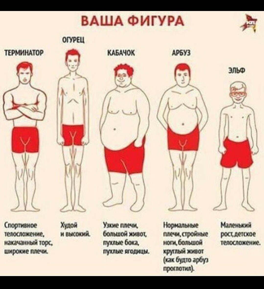 Body-pharm.com - Отправка из РФ в РФ! - Бодибилдинг форум AnabolicShops
