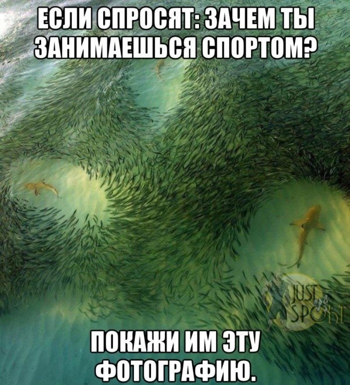 GerthShop.la - магазин спортивной фармакологии N1! - Бодибилдинг форум AnabolicShops