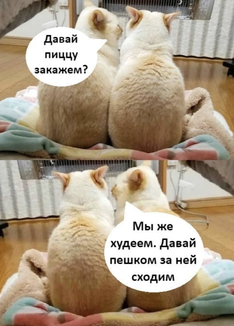 Курилка- разговоры на любые темы - Бодибилдинг форум AnabolicShops
