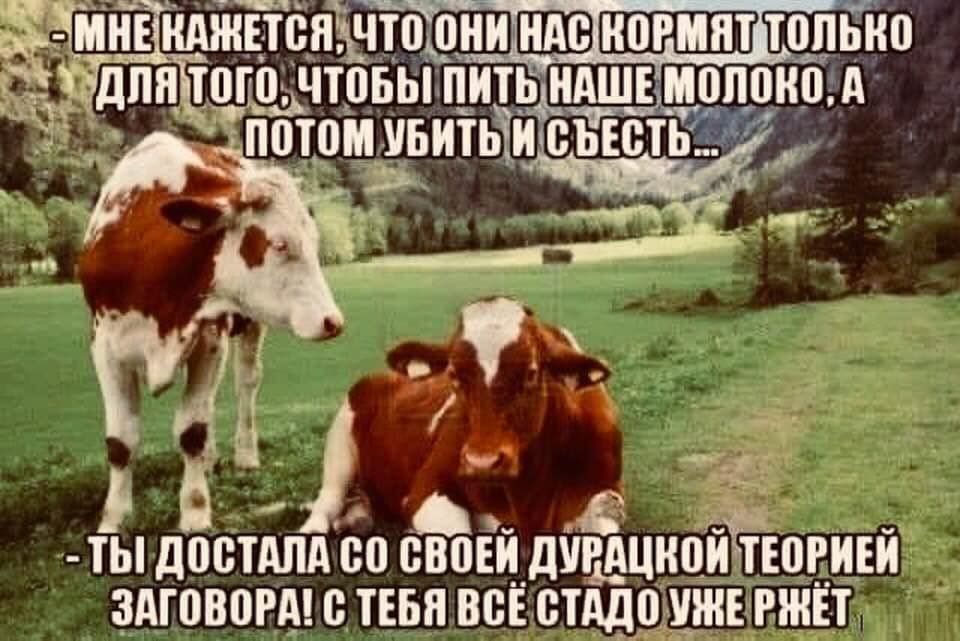 Курилка- разговоры на любые темы - Бодибилдинг форум AnabolicShops