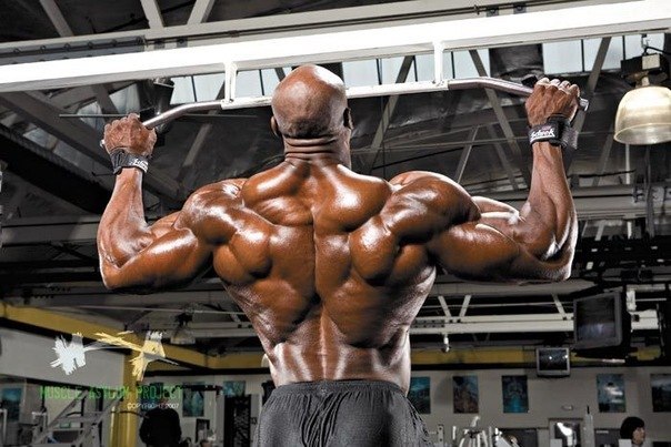 Польза подтягиваний - Бодибилдинг форум AnabolicShops