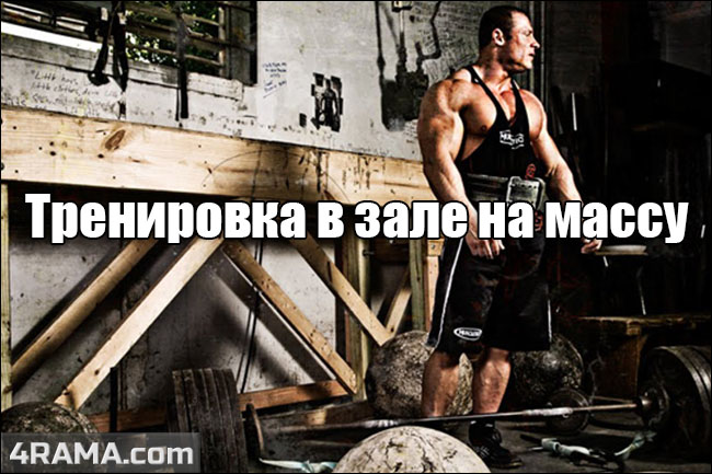Программа тренировок в зале на массу - Бодибилдинг форум AnabolicShops
