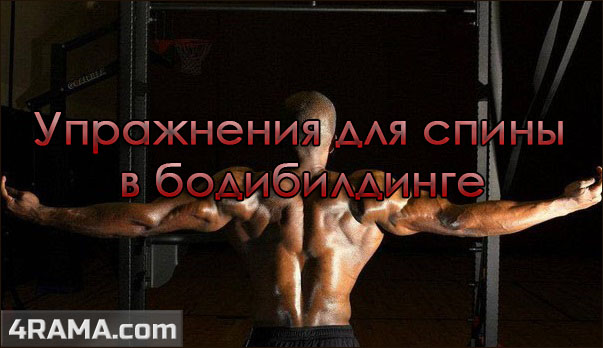 Упражнения для спины в бодибилдинге - Бодибилдинг форум AnabolicShops