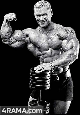 Сплиты в бодибилдинге - Бодибилдинг форум AnabolicShops