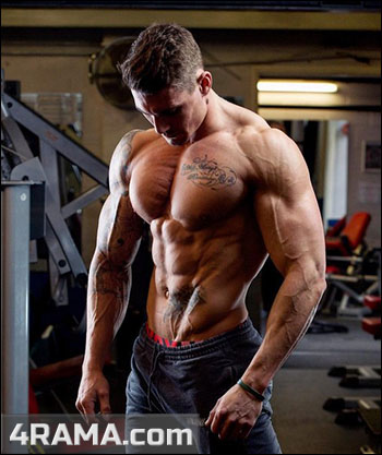 Сплиты в бодибилдинге - Бодибилдинг форум AnabolicShops