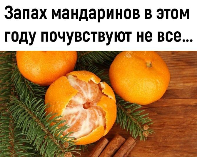 Мандариновое безумие - Бодибилдинг форум AnabolicShops