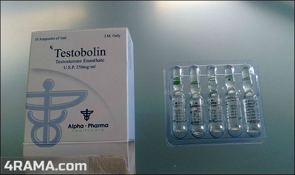 Testobolin - Бодибилдинг форум AnabolicShops