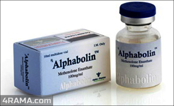 Alphabolin - Бодибилдинг форум AnabolicShops