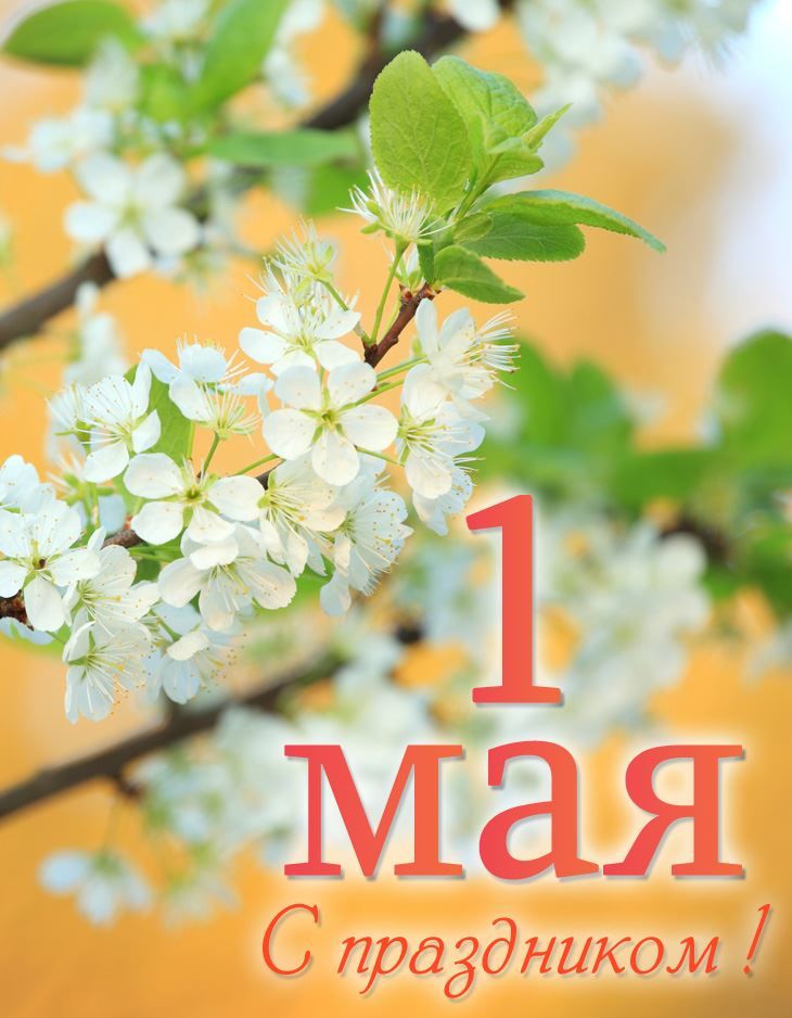 Интернет Магазин nadopinge.com - Бодибилдинг форум AnabolicShops