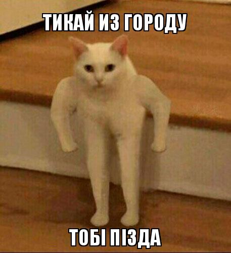 Новостной дайджест от 13.05.2021. - Бодибилдинг форум AnabolicShops
