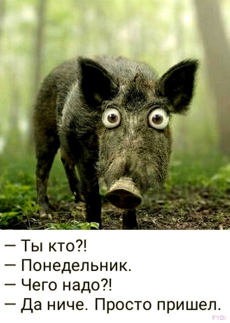 Homosteron.com оф.дилер Zphc|CanadaPeptides|Ergo Mrc - Бодибилдинг форум AnabolicShops