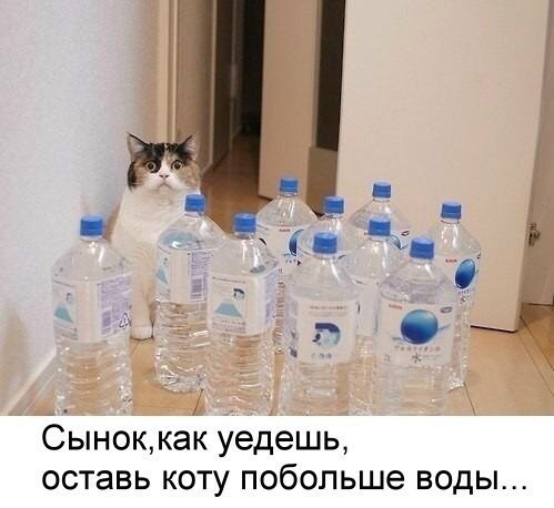 Курилка- разговоры на любые темы - Бодибилдинг форум AnabolicShops