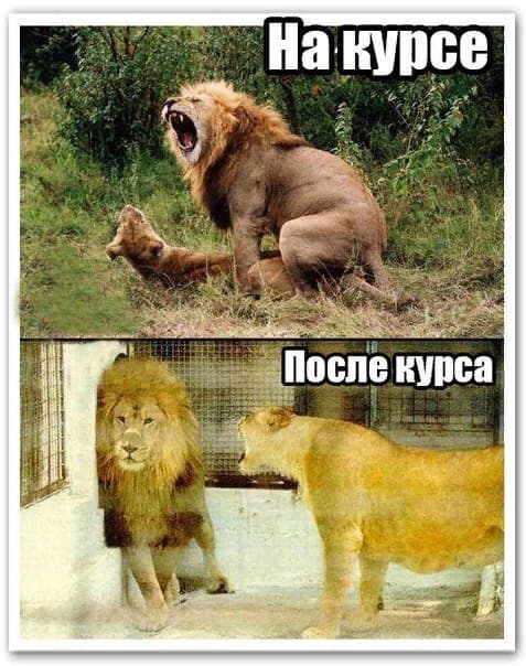 Sportpharma.shop =в Рунете с 2003 года= - Бодибилдинг форум AnabolicShops