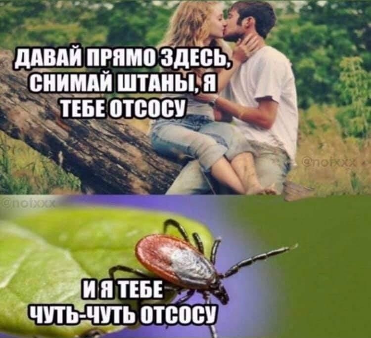 Анекдоты обо всем - Бодибилдинг форум AnabolicShops