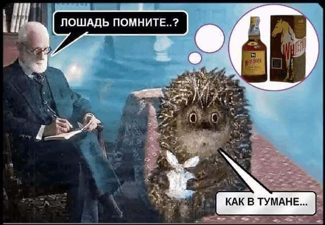 Курилка- разговоры на любые темы - Бодибилдинг форум AnabolicShops