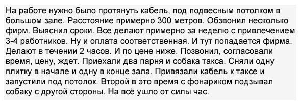 Thomas&Co - Медицинское качество. - Бодибилдинг форум AnabolicShops