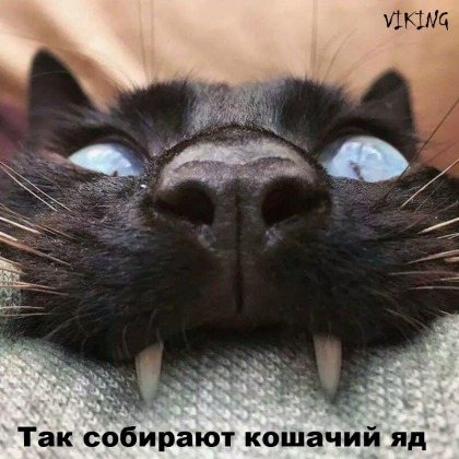 Анекдоты обо всем - Бодибилдинг форум AnabolicShops
