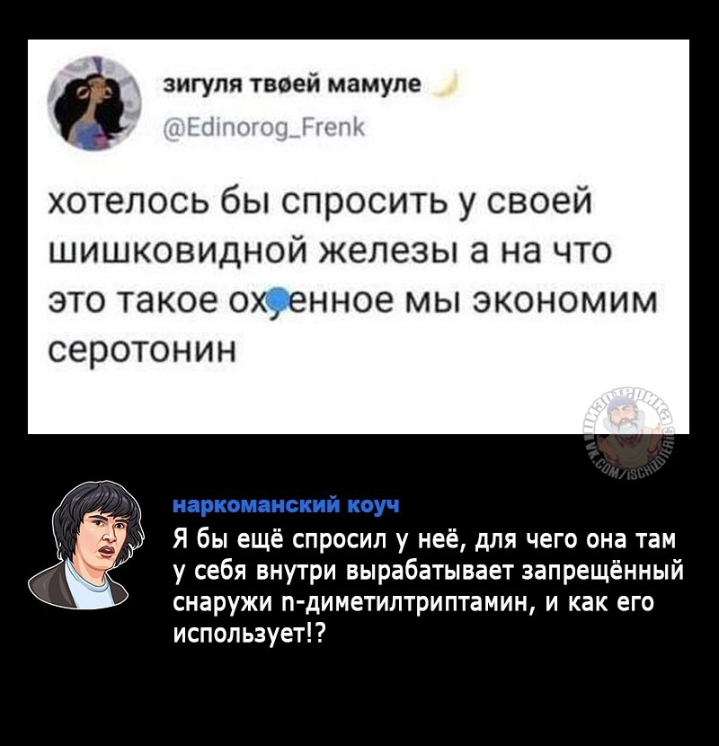 Курилка- разговоры на любые темы - Бодибилдинг форум AnabolicShops