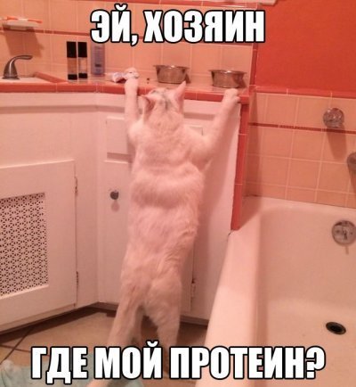 Курилка- разговоры на любые темы - Бодибилдинг форум AnabolicShops
