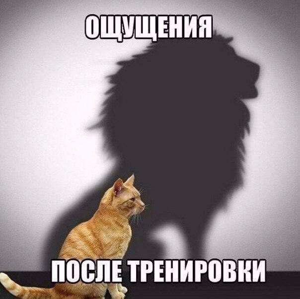 Курилка- разговоры на любые темы - Бодибилдинг форум AnabolicShops