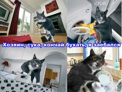 Анекдоты обо всем - Бодибилдинг форум AnabolicShops