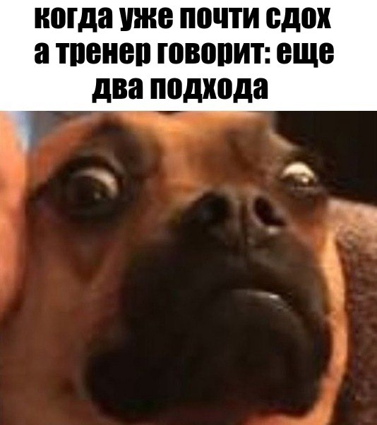 Анекдоты обо всем - Бодибилдинг форум AnabolicShops