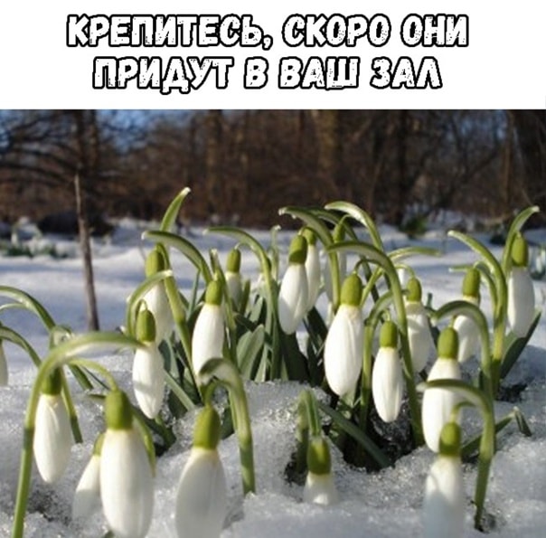 Курилка- разговоры на любые темы - Бодибилдинг форум AnabolicShops