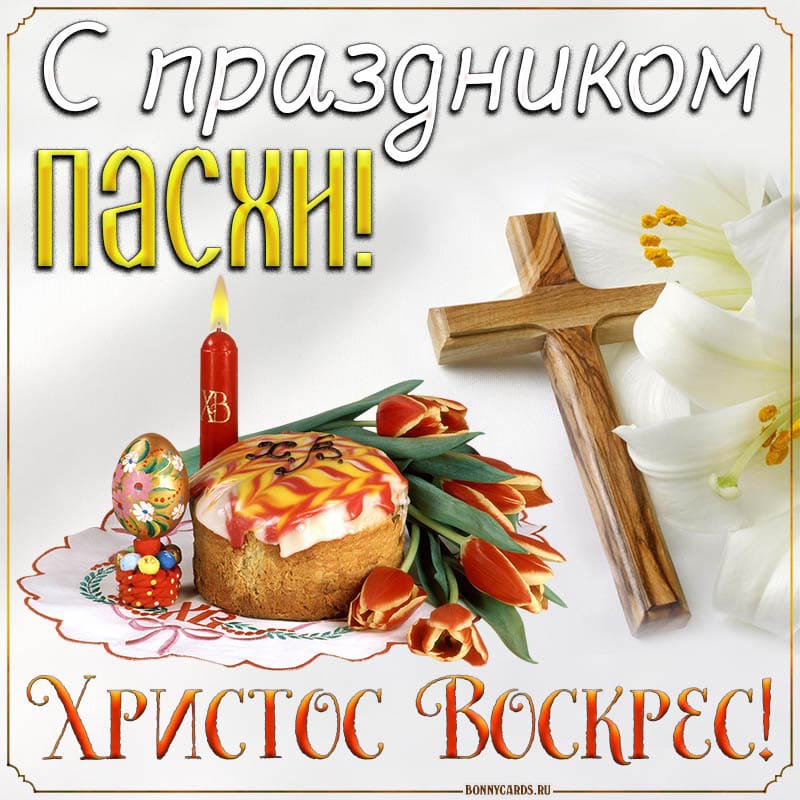 bestpharma.life - Бодибилдинг форум AnabolicShops