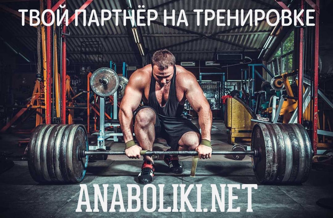АНАБОЛИКИ.net - оф.дилер SP, Zerox, Genetic, Magnus, Lyka ! - Бодибилдинг форум AnabolicShops
