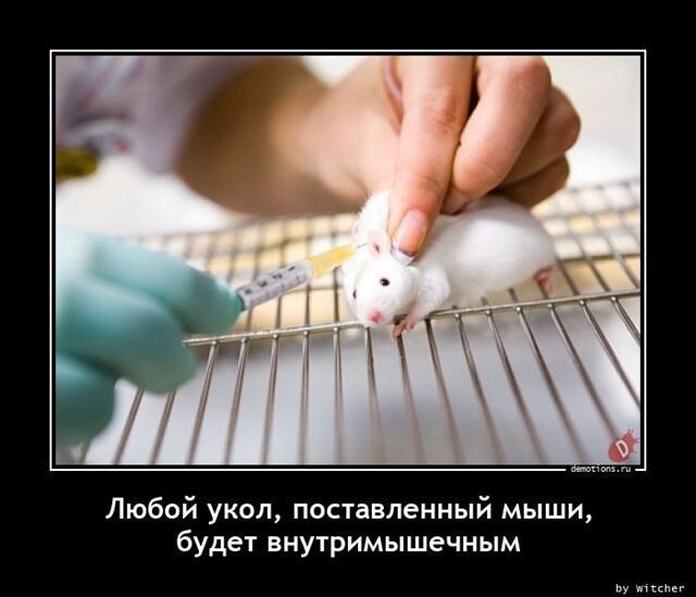 Курилка- разговоры на любые темы - Бодибилдинг форум AnabolicShops