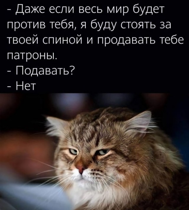 Новостной дайджест от 10.08.2022. - Бодибилдинг форум AnabolicShops
