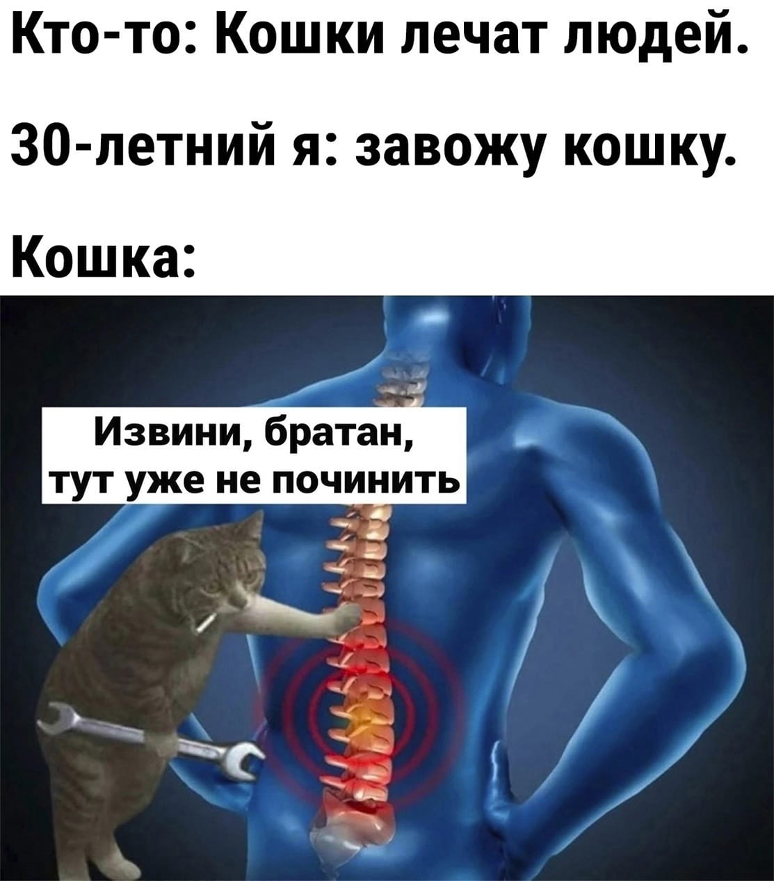 Анекдоты обо всем - Бодибилдинг форум AnabolicShops