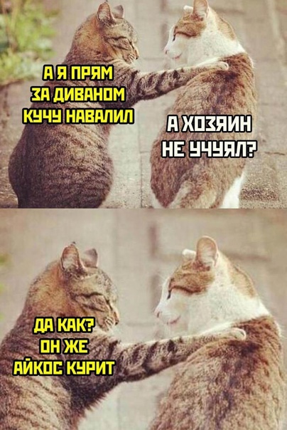 Анекдоты обо всем - Бодибилдинг форум AnabolicShops