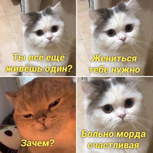 Анекдоты обо всем - Бодибилдинг форум AnabolicShops