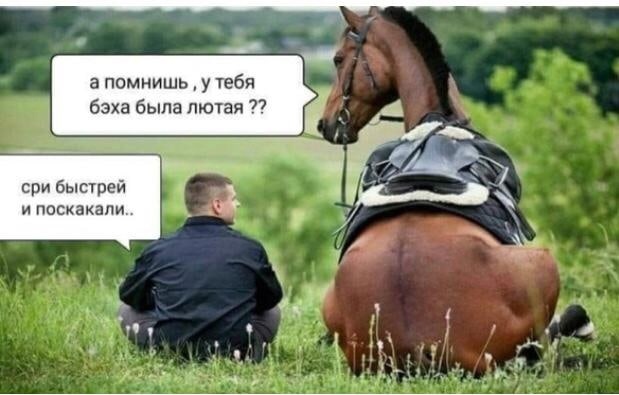 Жим, рекорд, элита и пожать четырех себя! - Бодибилдинг форум AnabolicShops