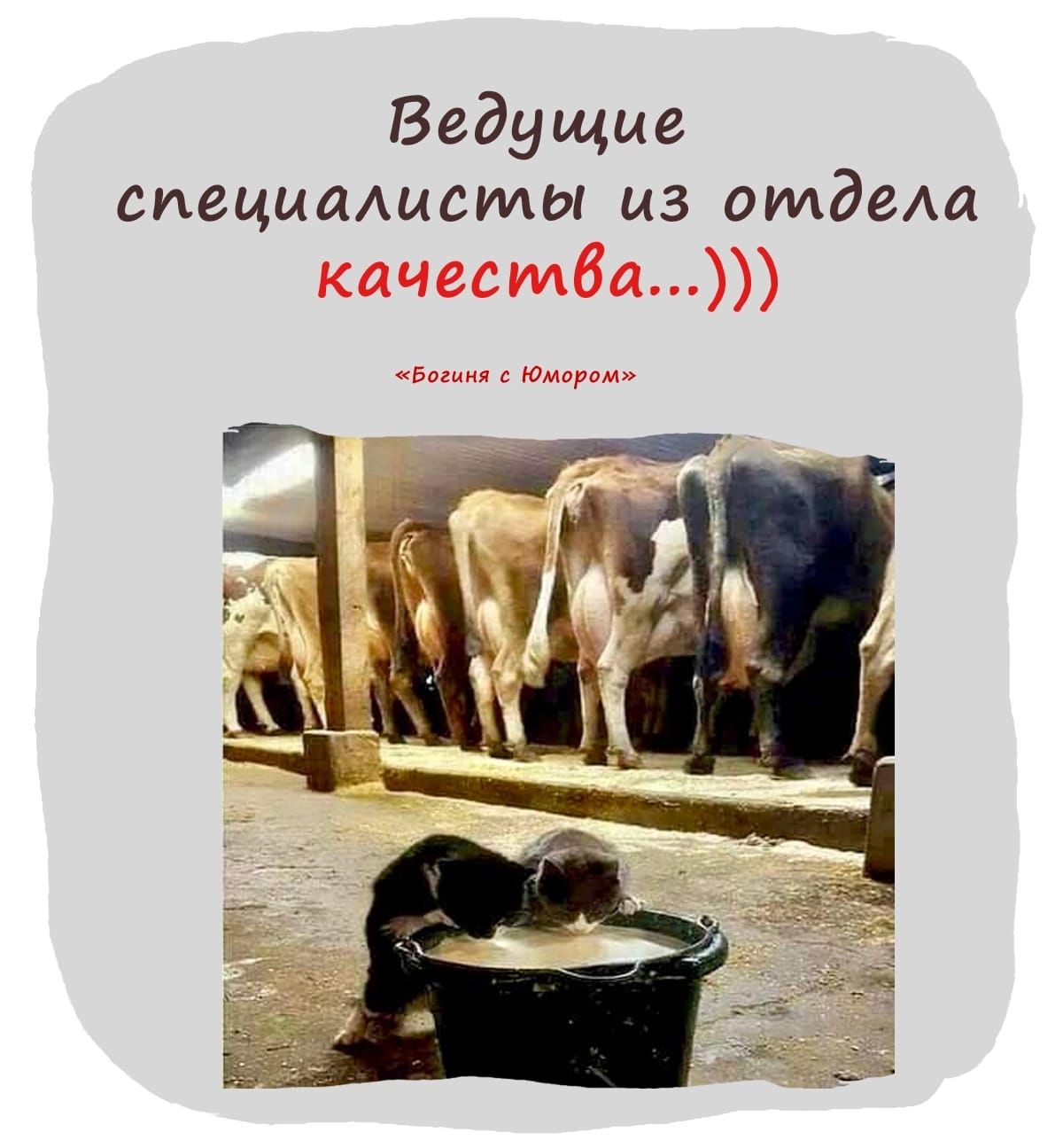 Анекдоты обо всем - Бодибилдинг форум AnabolicShops
