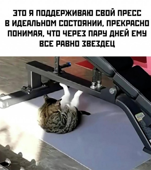 Анекдоты обо всем - Бодибилдинг форум AnabolicShops