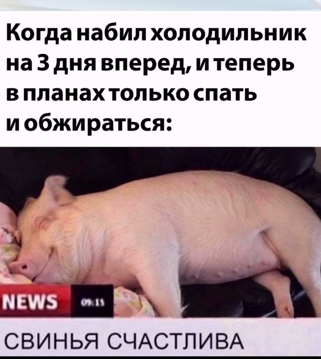 Анекдоты обо всем - Бодибилдинг форум AnabolicShops