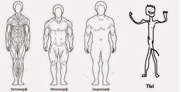 Thomas&Co - Медицинское качество. - Бодибилдинг форум AnabolicShops