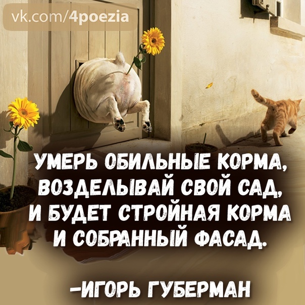 Курилка- разговоры на любые темы - Бодибилдинг форум AnabolicShops