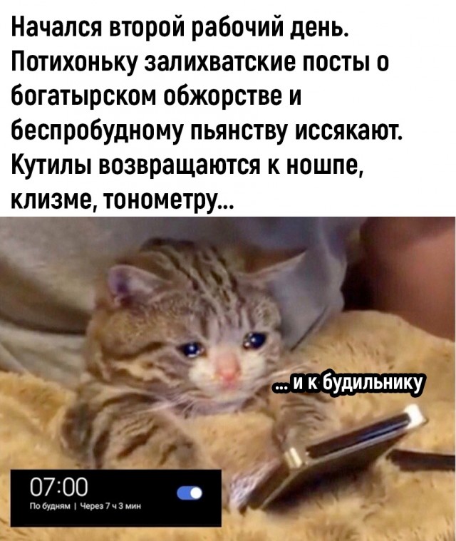 Анекдоты обо всем - Бодибилдинг форум AnabolicShops